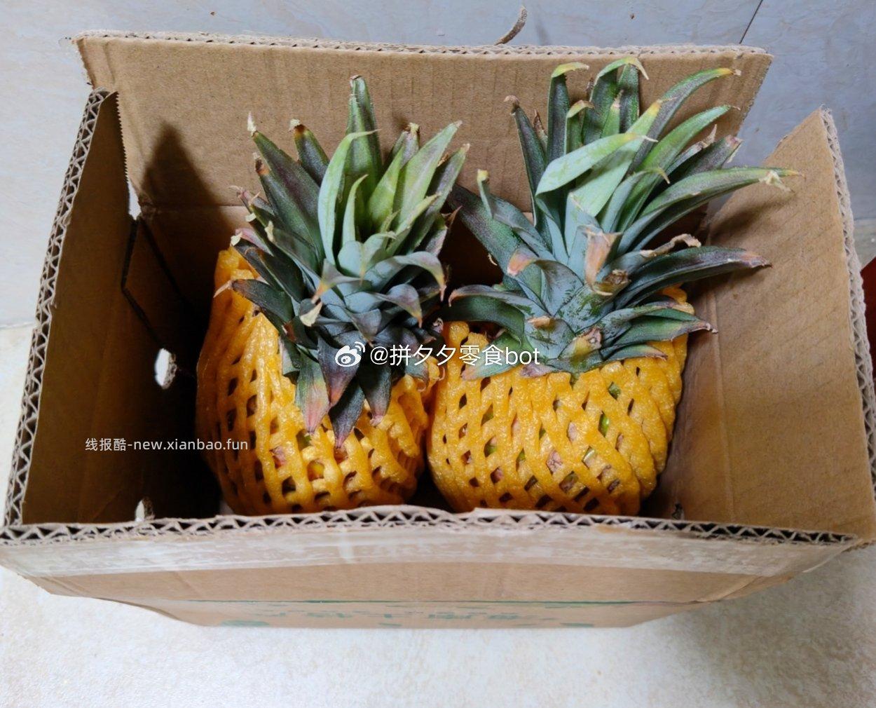 海南金💎凤梨 净重2-2.5斤 9.9元 - 线报酷