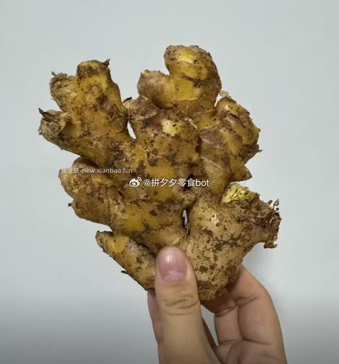 宝菜 云南小黄姜 净重5斤 12.8元 - 线报酷