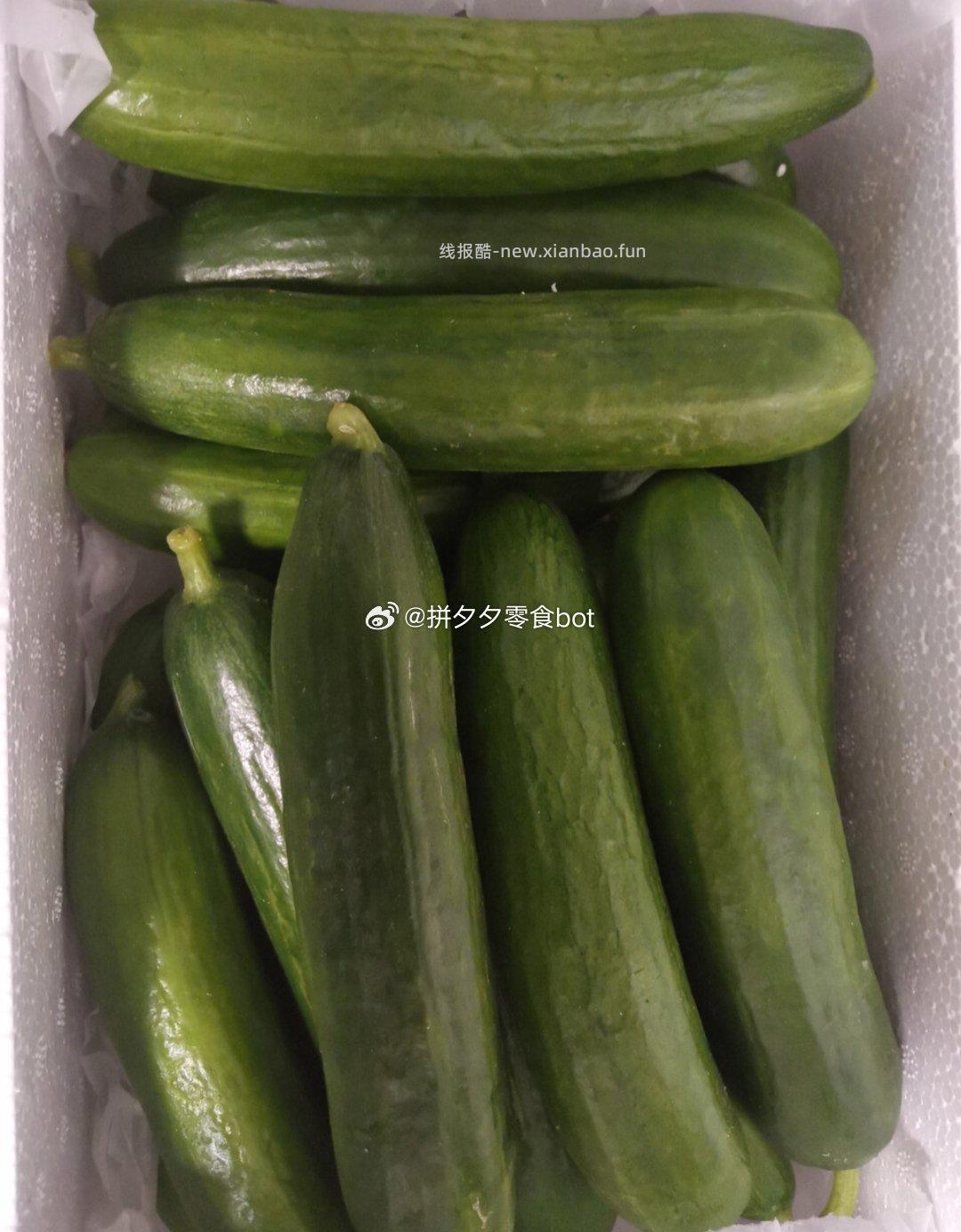 京鲜生水果黄瓜净重4.5斤 13.9元 - 线报酷