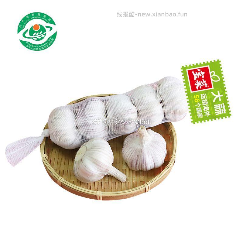 宝菜紫皮大蒜头40头共1600g 15.9元 - 线报酷
