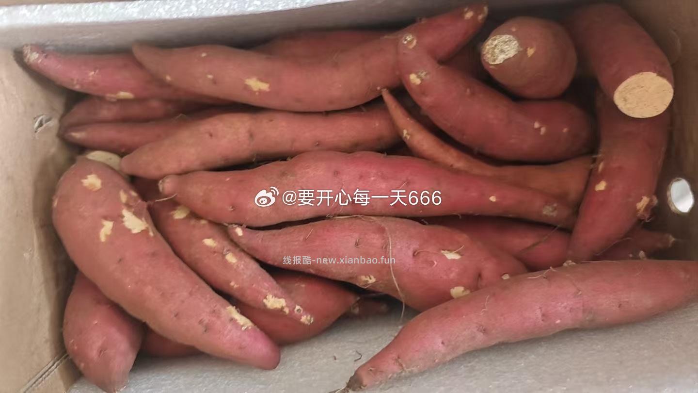 Pxx 抽到的🧧不知道买啥可以试试这家 评价有1🧧个人喜欢板栗薯 而且大小合适 - 线报酷