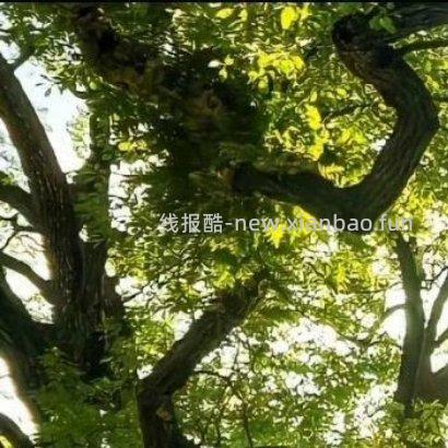 ✨ ✨ 人生路上 遇见善良 学会付出 遇见微笑 学会分享 遇见坎坷 学会勇敢 - 线报酷