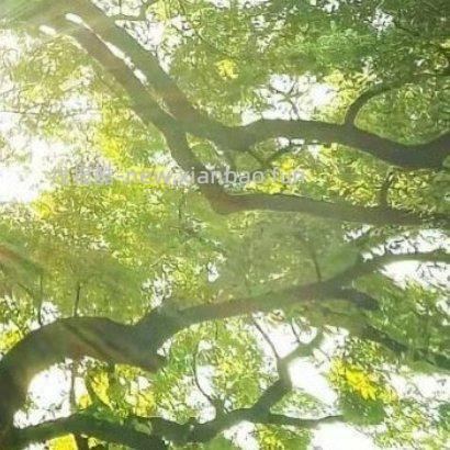 ✨ ✨ 人生路上 遇见善良 学会付出 遇见微笑 学会分享 遇见坎坷 学会勇敢 - 线报酷