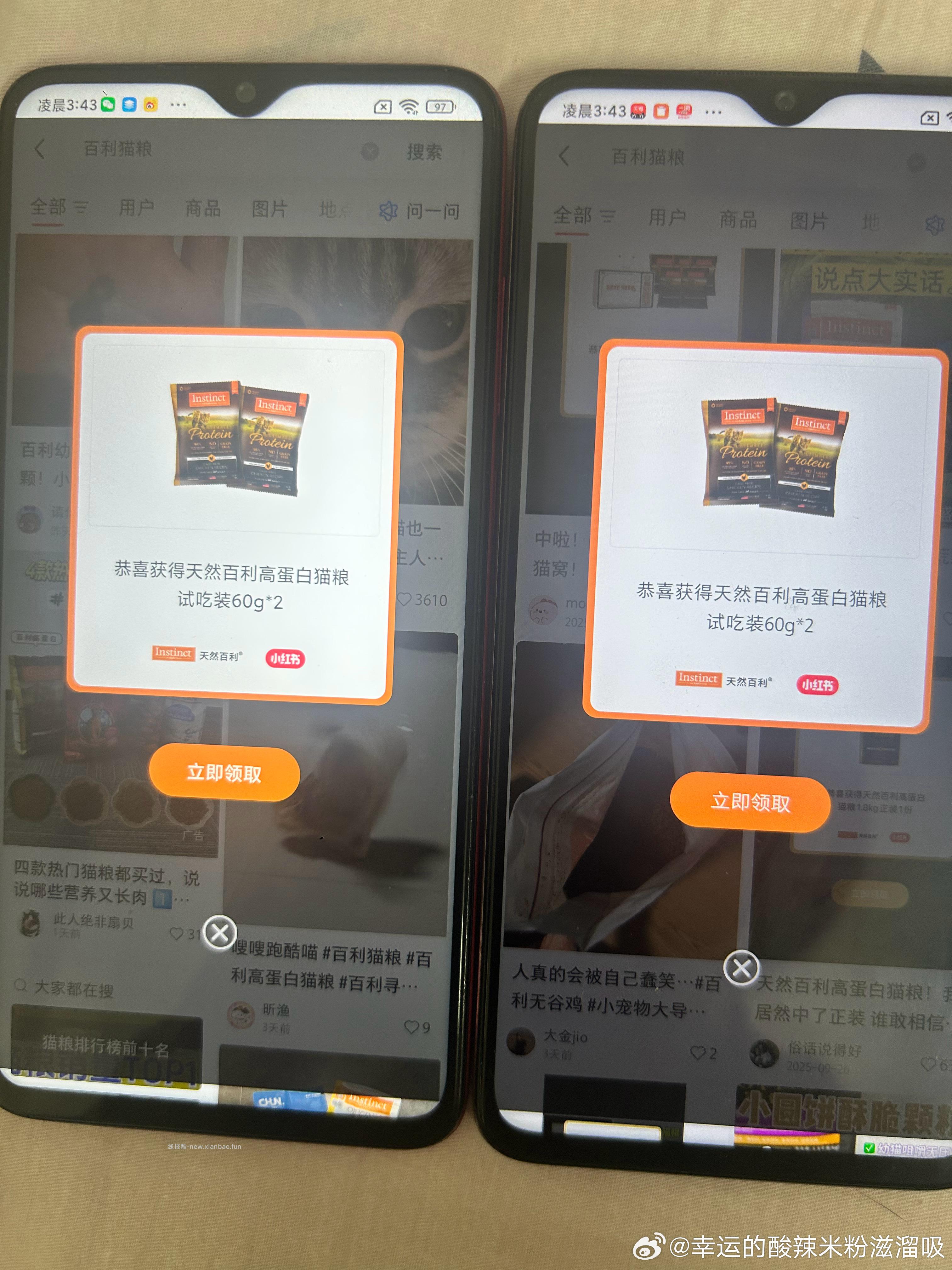 小黑书活了 4-3 - 线报酷