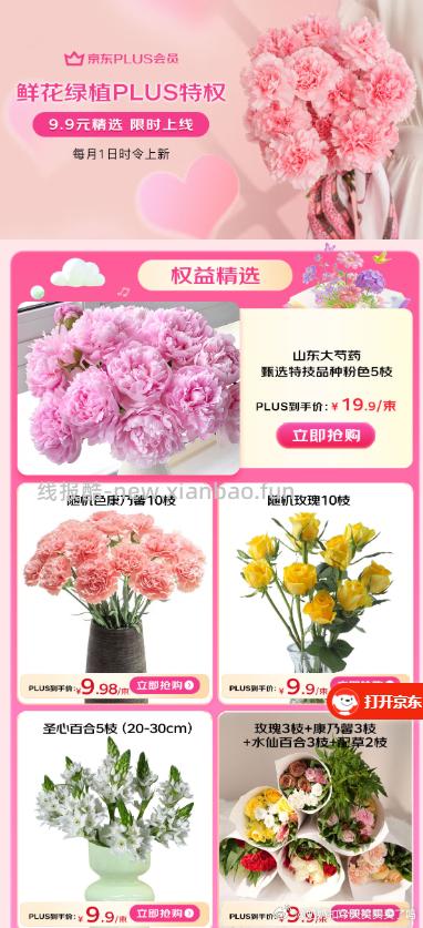 京东PLUS会员享部分鲜花 9.9元 - 线报酷
