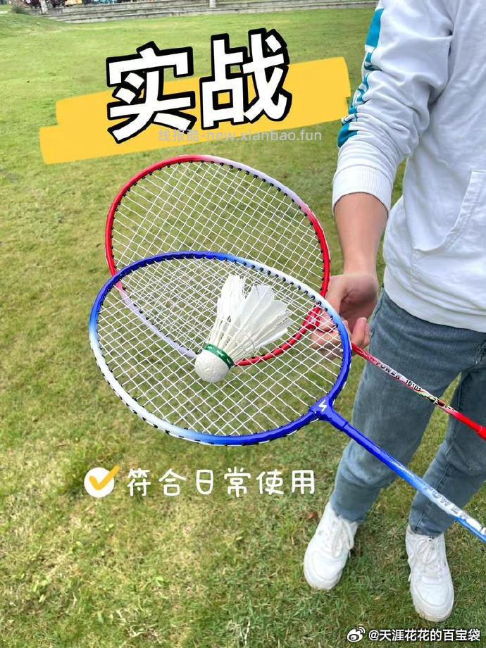 迪科斯羽毛球拍2支+3球+1包 13.91元 - 线报酷