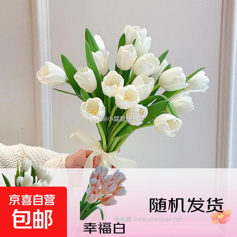 鲜花馆10券 郁金香鲜花10枝 1 - 线报酷