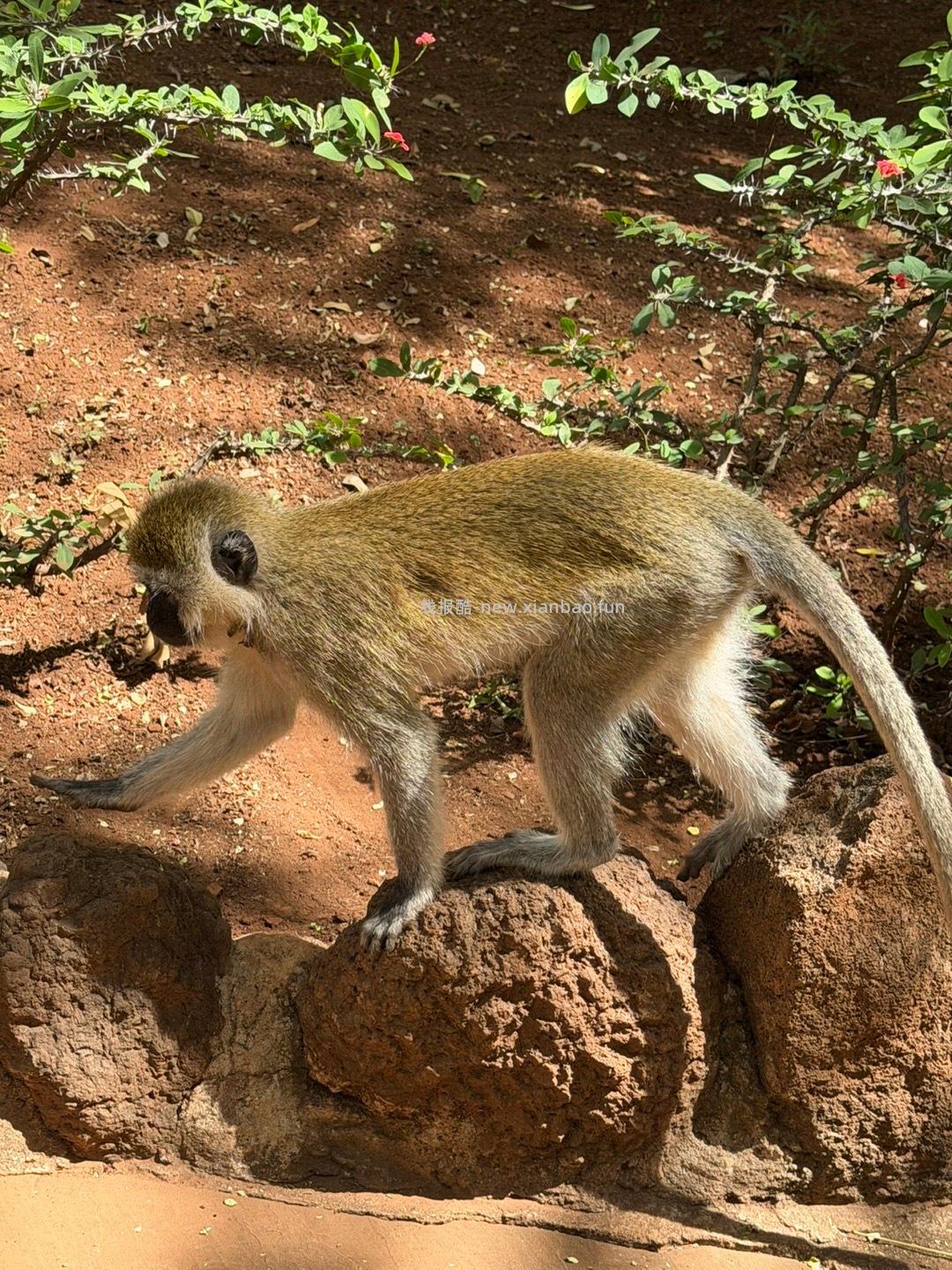 飞行16h 6000km 从北京出发经由阿布扎比 - 线报酷