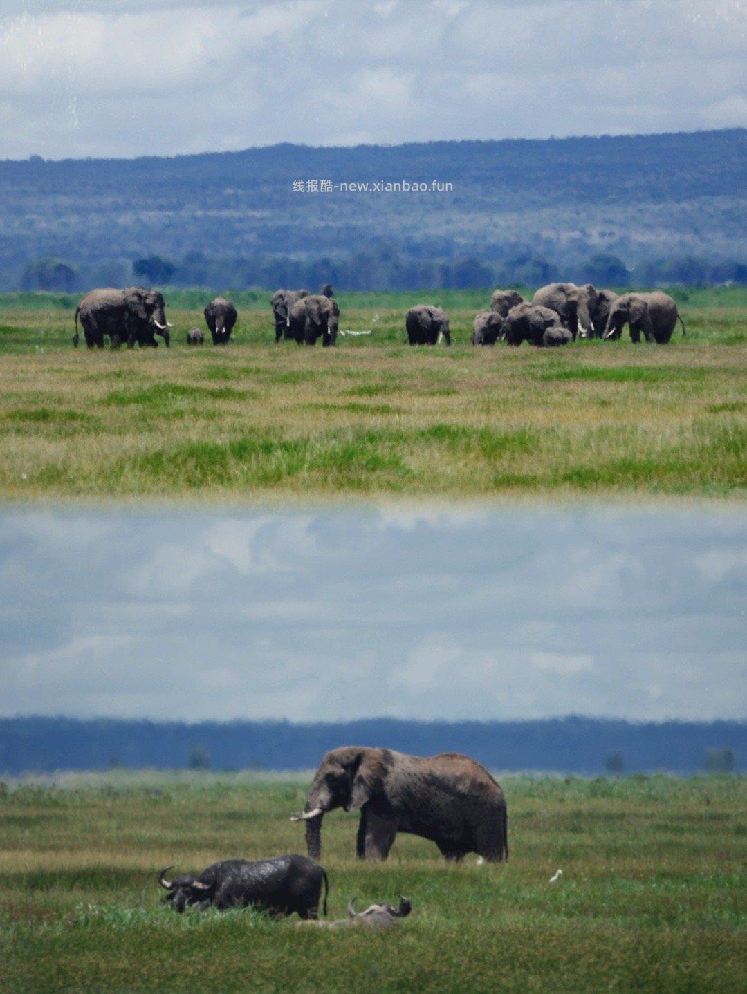 安博塞利 - 线报酷