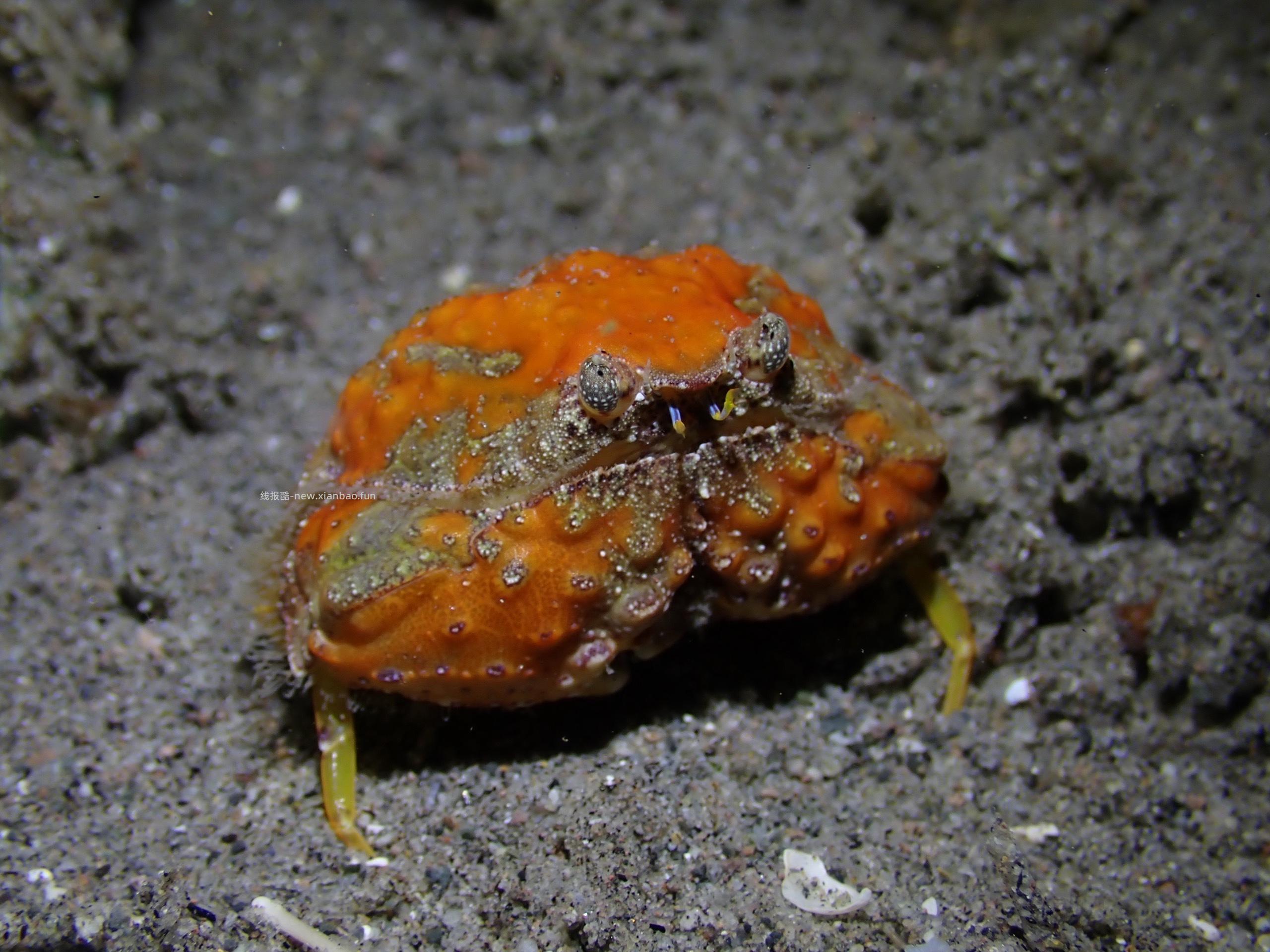 杜马盖地2潜 潜店门口下的 由于今天从锡基霍尔穿梭到杜马盖地 - 线报酷 杜马盖地2潜 潜店门口下的 由于今天从锡基霍尔穿梭到杜马盖地 - 线报酷