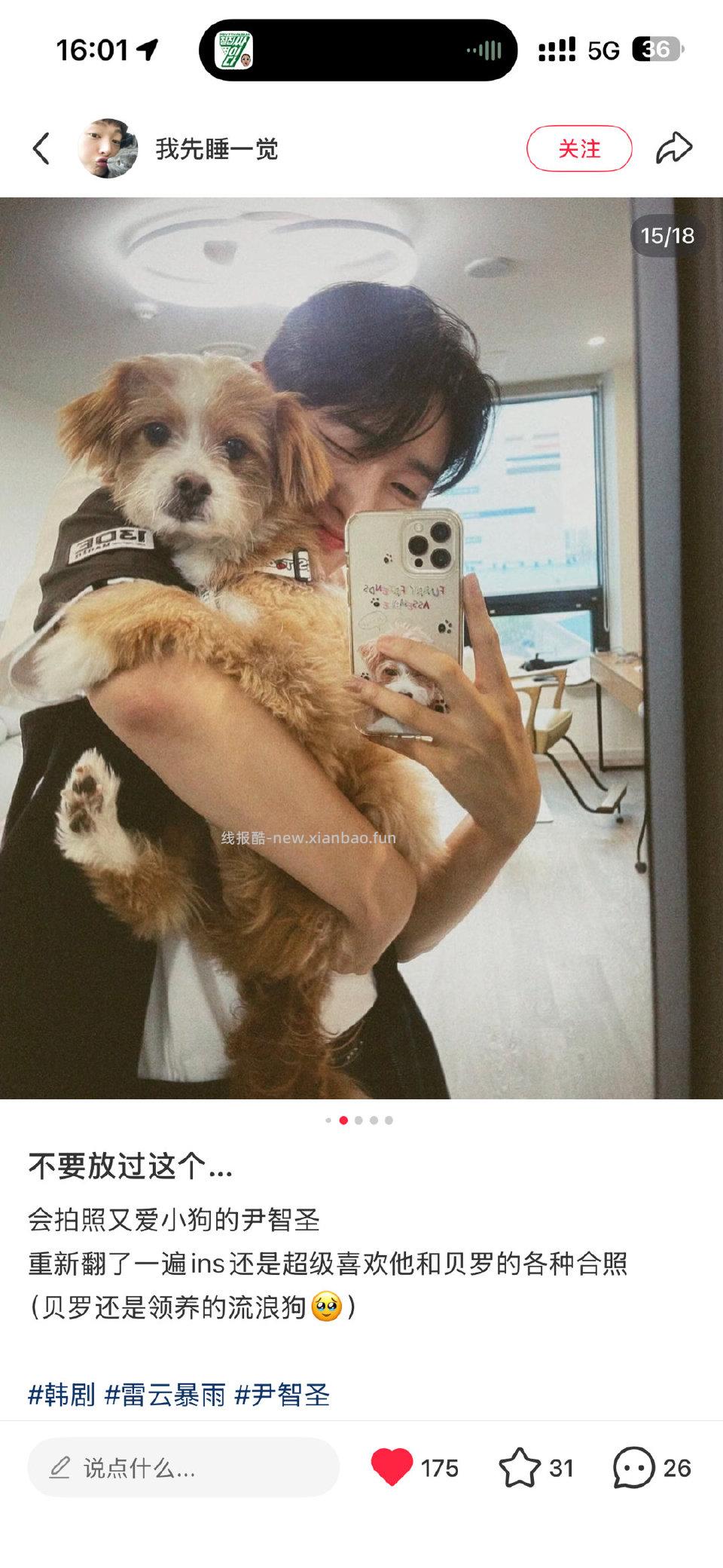 对喜欢小狗狗的人毫无抵抗力 - 线报酷