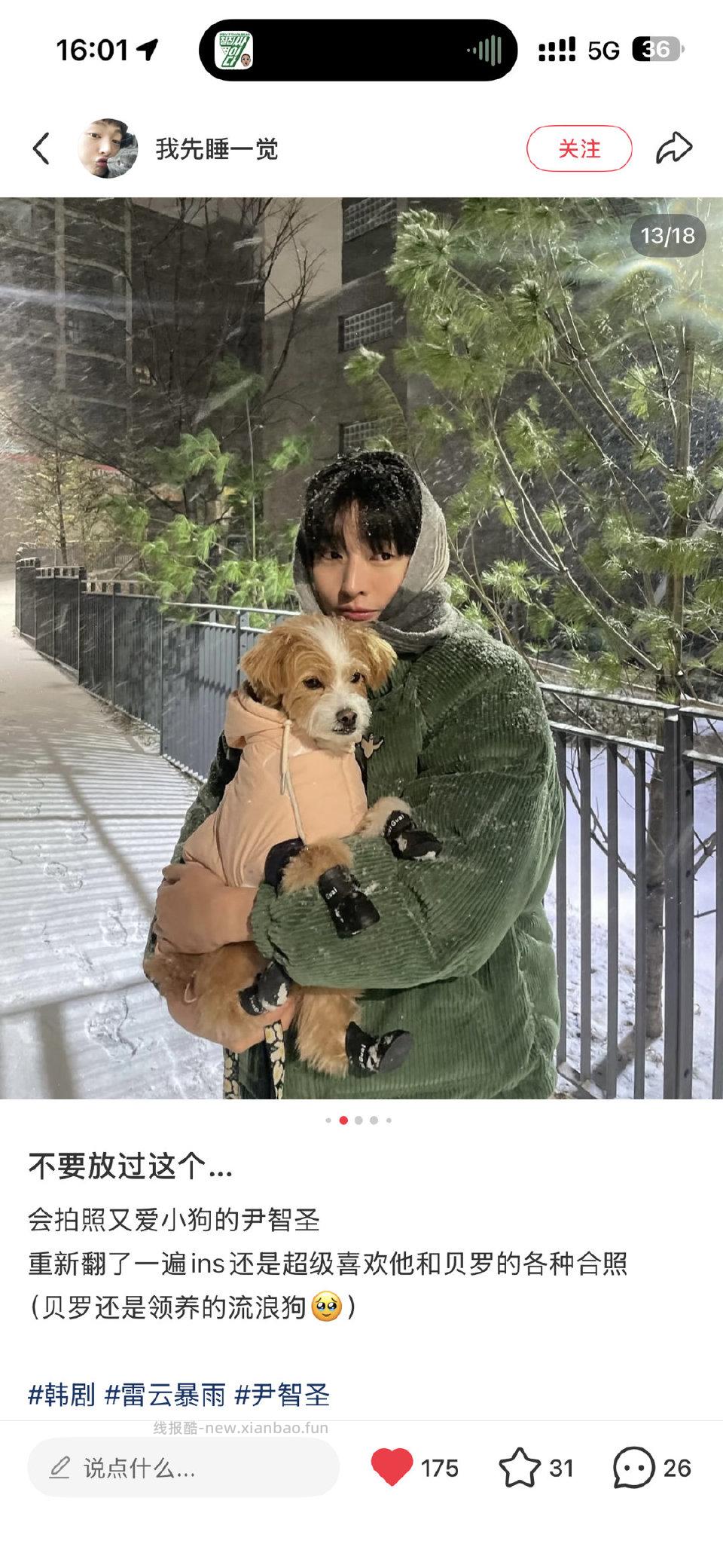 对喜欢小狗狗的人毫无抵抗力 - 线报酷