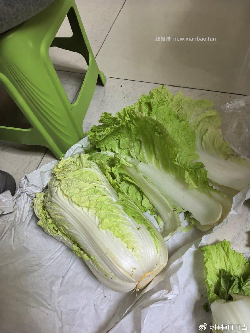 jd直播间的大白菜真是个天才。硬送老帮子凑斤称哈哈哈哈。 - 线报酷