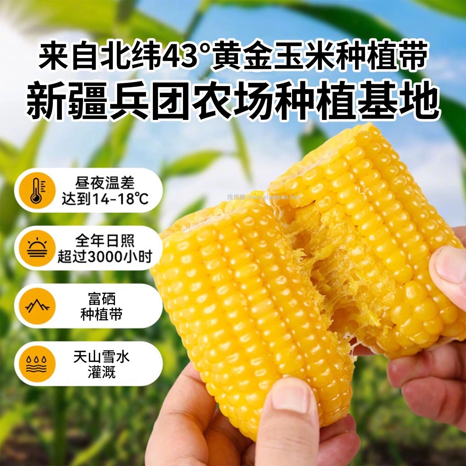疆物季黄糯玉米2kg/8根 29元 - 线报酷