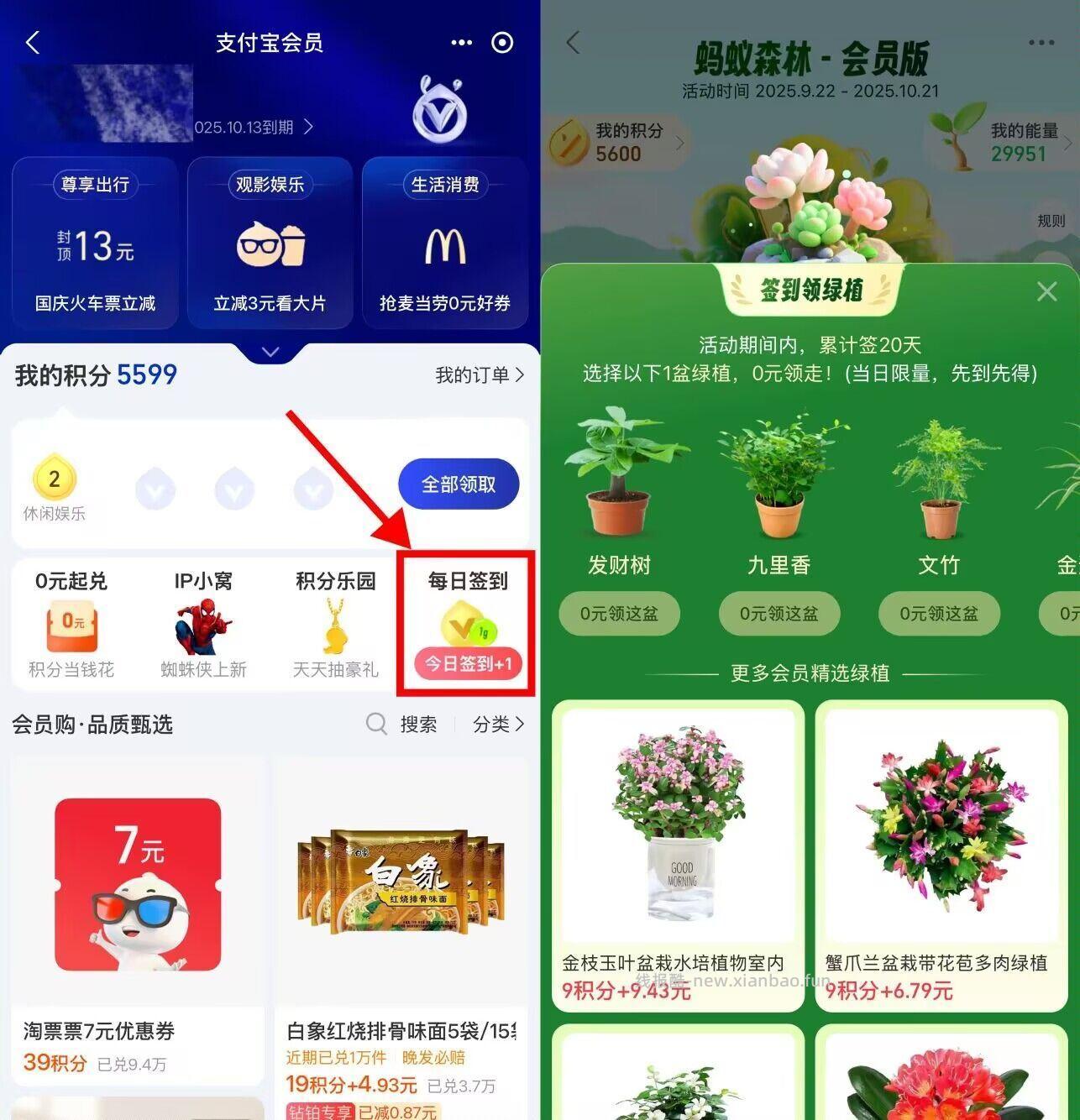 zfb蚂蚁森林签20天领绿植 zfb-我的-zfb荟员 右侧 每日签到 - 线报酷
