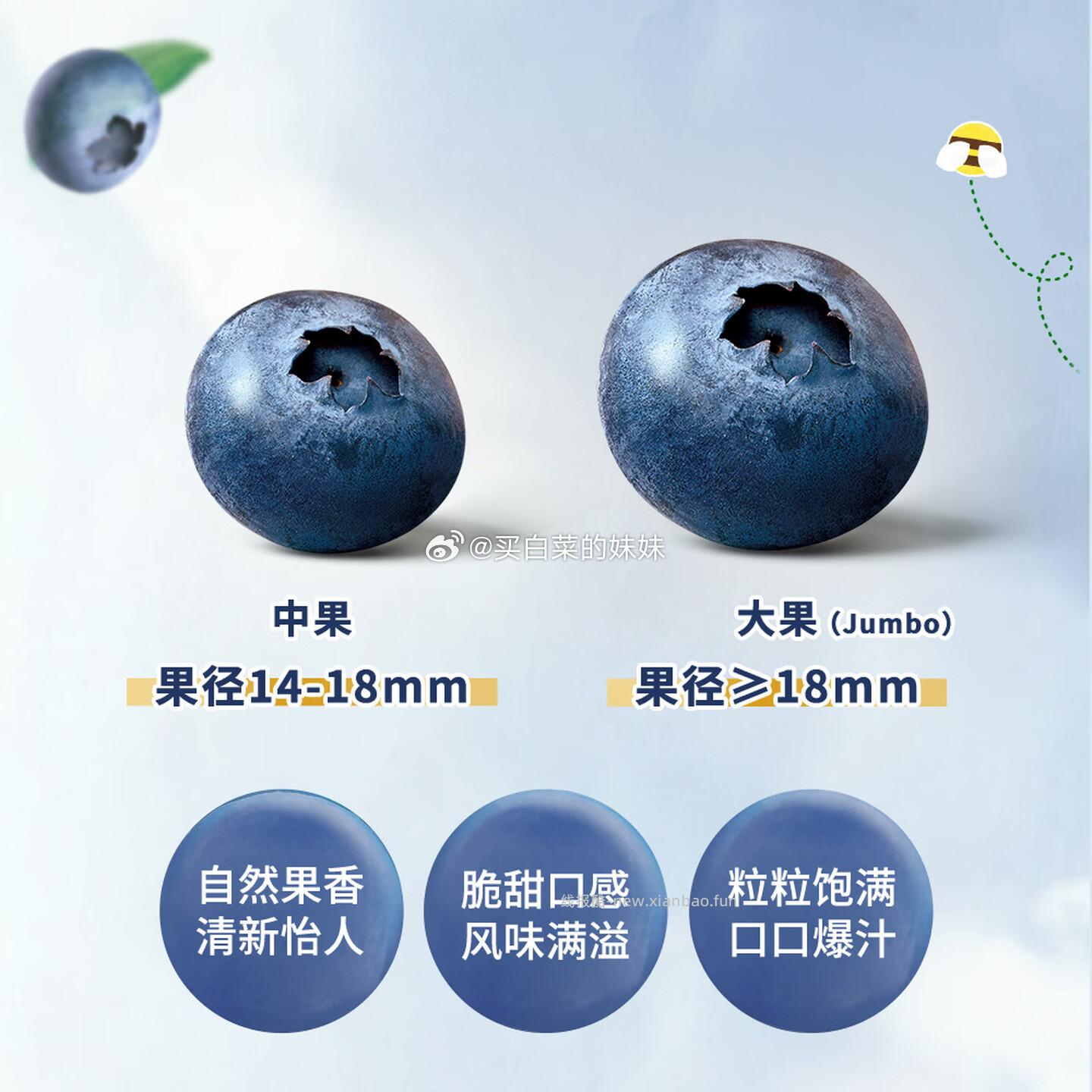 怡颗莓Driscoll's 云南蓝莓14mm+ 12盒 约125g/盒 拍1件 94.89元 - 线报酷