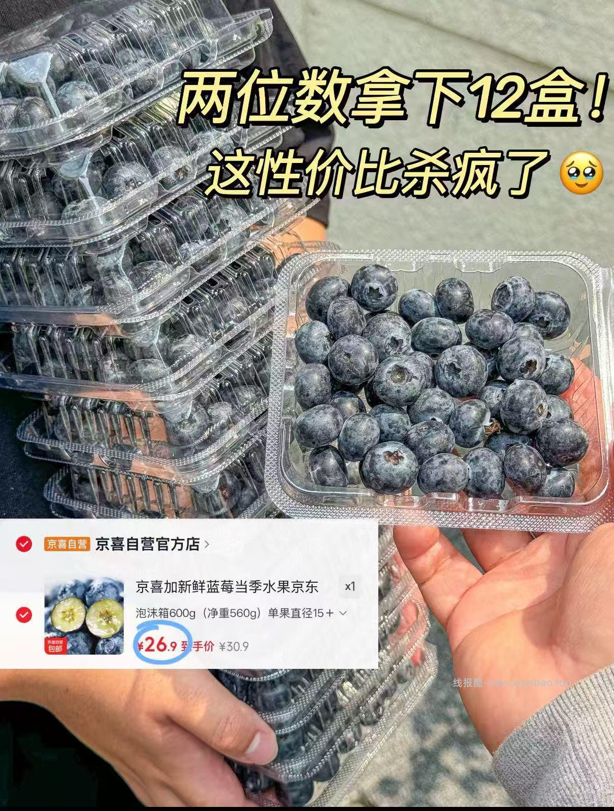 蓝莓 3.3元/盒，8盒26.9元 - 线报酷