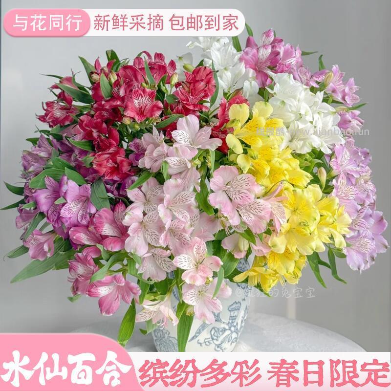 橙色水仙百合10枝 9.99元，非洲小菊20枝 13.98元，康乃馨随机20枝 13.99元 - 线报酷