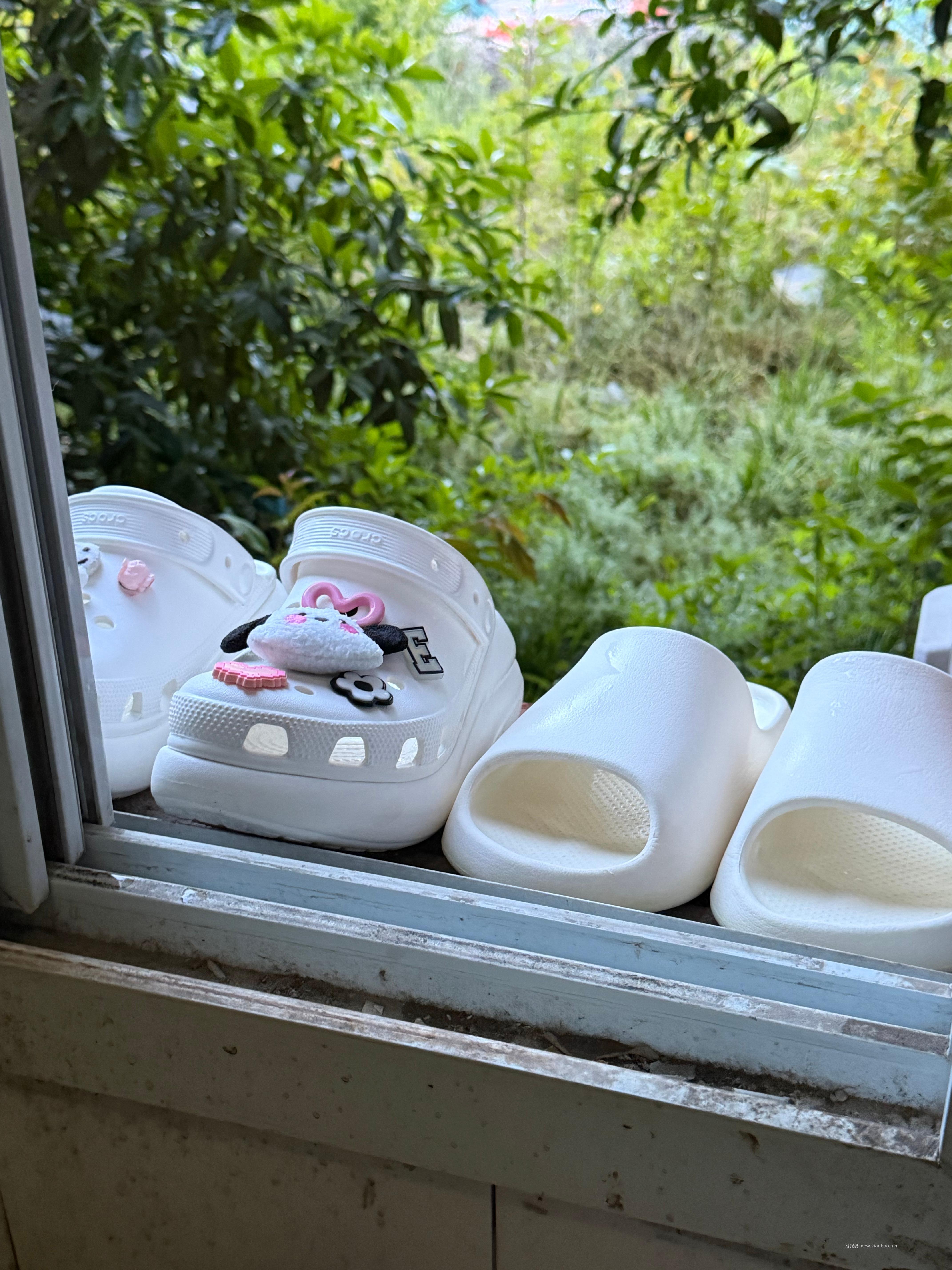 一个超级好用的洗衣免搓粉 作业也很简单 bj 直播间每小时一轮🧧🌧️ 兑元宝2r - 线报酷