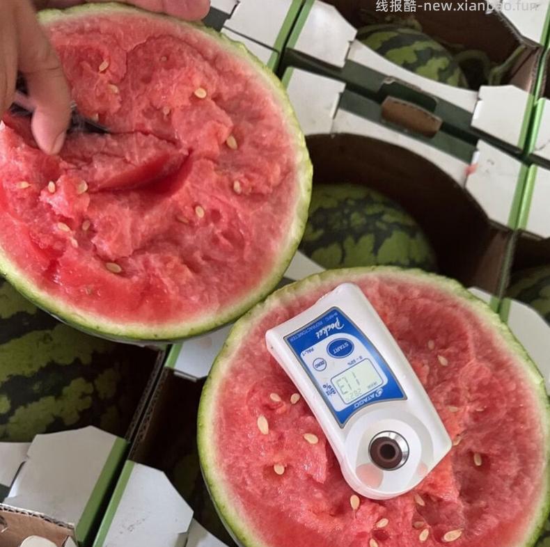 京东指数 云南无籽美都麒麟瓜 5-6斤 15.9元 - 线报酷