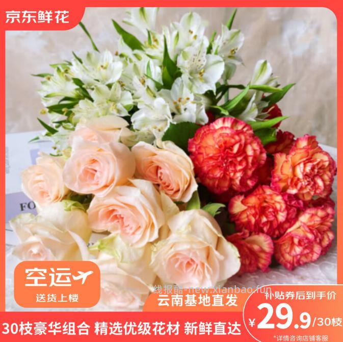 京东鲜花 玫瑰+康乃馨+六初30枝 29.9元 - 线报酷