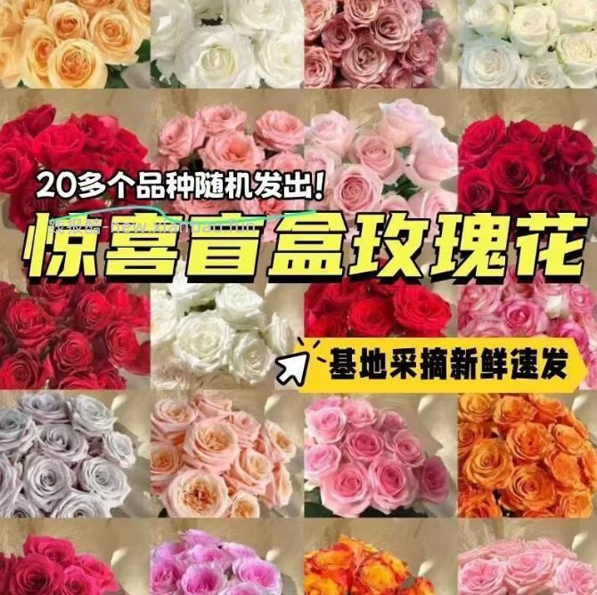 玫瑰 9.99元，玫瑰 17.99元 - 线报酷