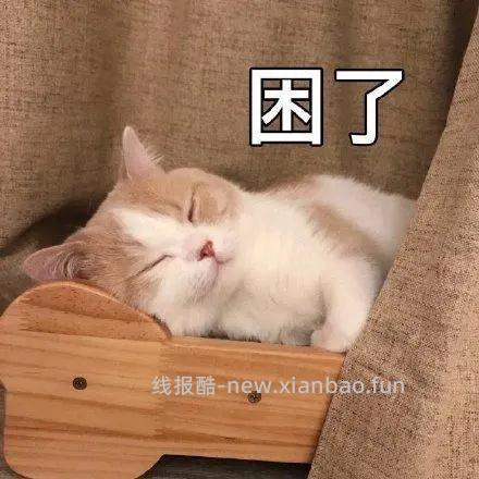 睡觉去啦 晚安 - 线报酷