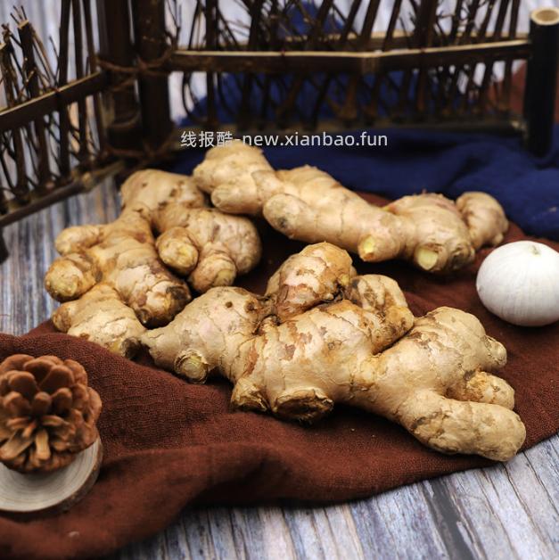12.8 宝菜 新鲜现挖正宗云南小黄姜 净重5斤 包邮的 - 线报酷