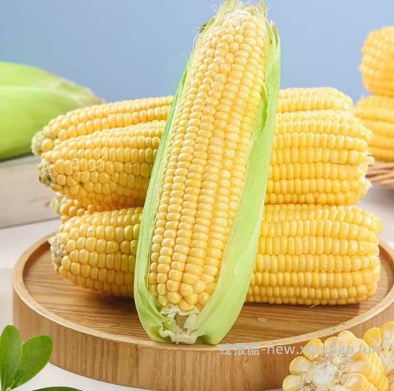 新鲜水果玉米5斤 6.86元 - 线报酷