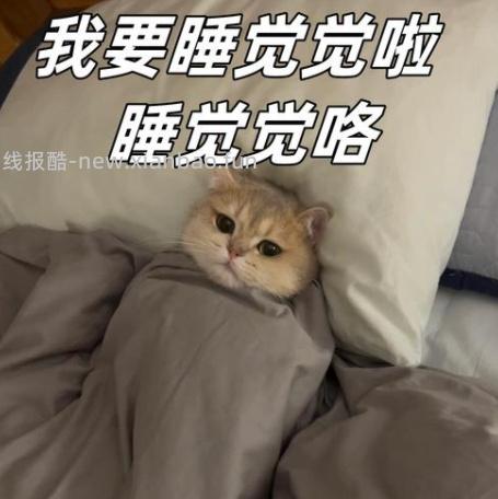 今晚到这里拉 晚安小伙伴们 - 线报酷