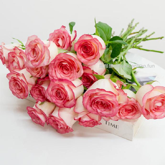 京东鲜花玫瑰花买10枝送10枝 19.9元 - 线报酷