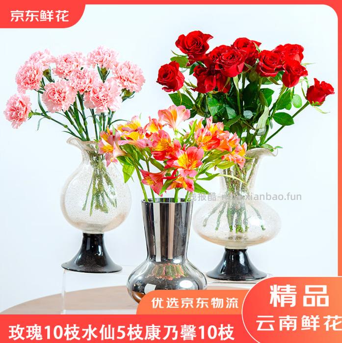 京东鲜花 玫瑰花生活花玫瑰10枝+康乃馨10枝+水仙5枝，共25支 22.9元 - 线报酷