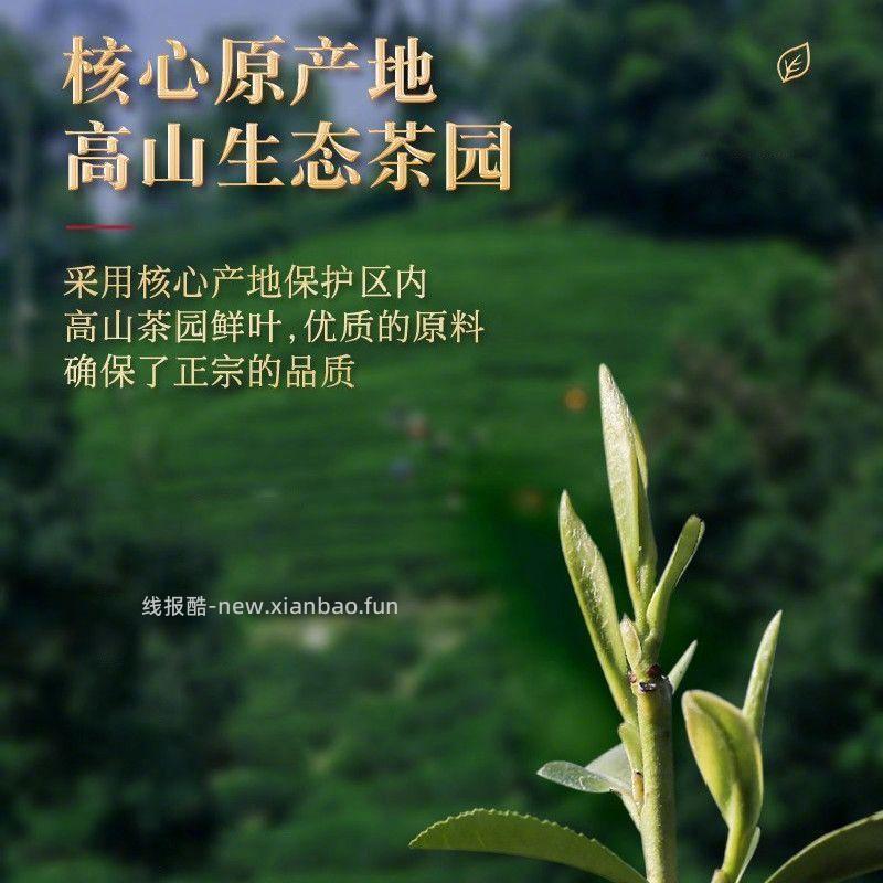 正山王明前毛尖绿茶260g/2罐 62.8元 - 线报酷