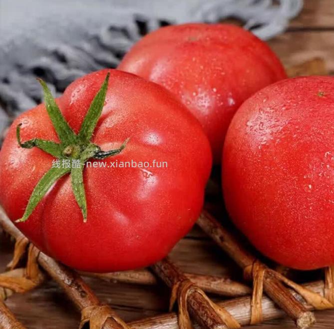 京东指数沙瓤番茄5斤 8.9元 - 线报酷