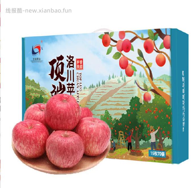 洛川苹果 陕西延安红富士苹果15枚 34.9元 - 线报酷
