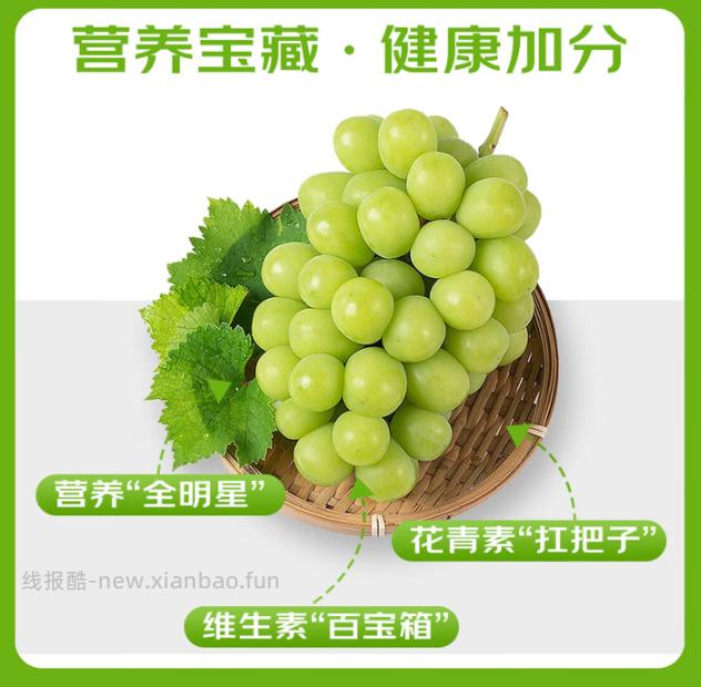 京鲜生阳光玫瑰青提净重1.8-2.2斤 19.8元 - 线报酷