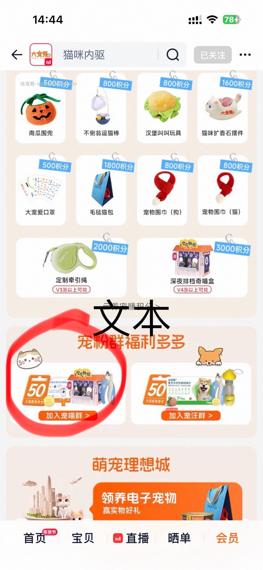 幼猫马区虫 - 线报酷