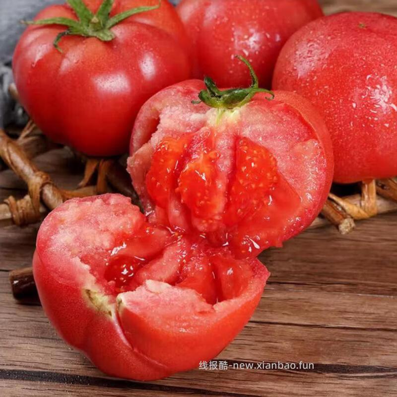 京东指数沙瓤番茄囤货装带箱5斤 8.98元 - 线报酷