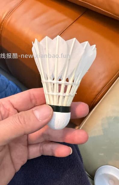 红双喜402超耐打训练羽毛球6只 30元 - 线报酷