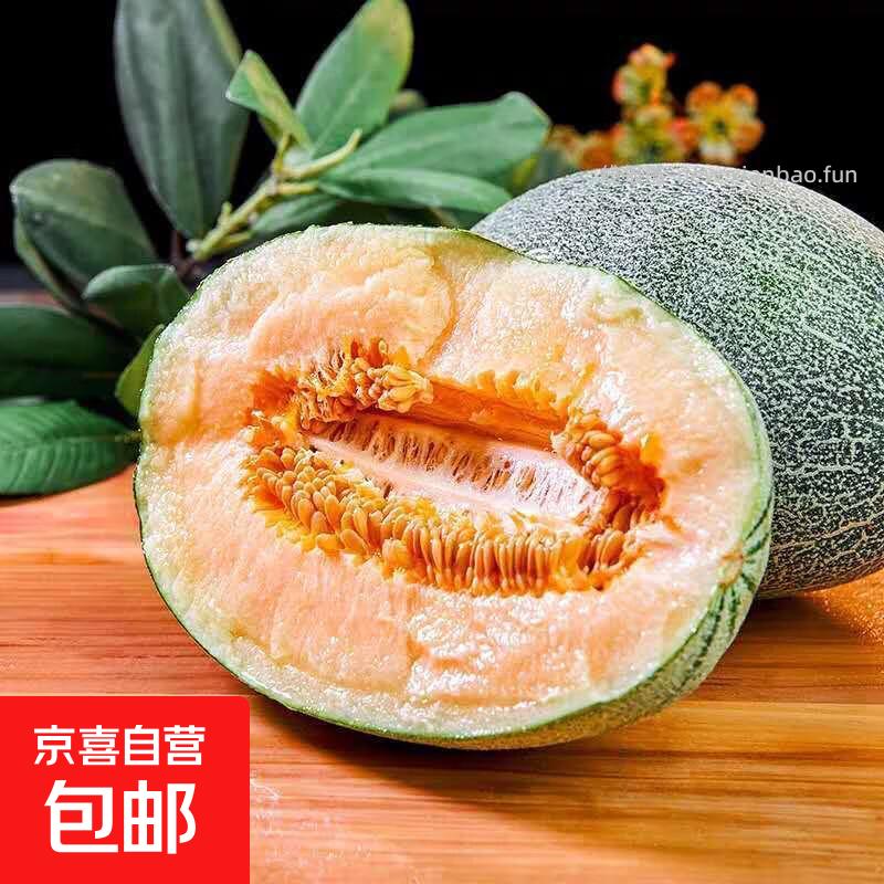 西州蜜甜哈密瓜带箱3-4斤 10.78元 - 线报酷