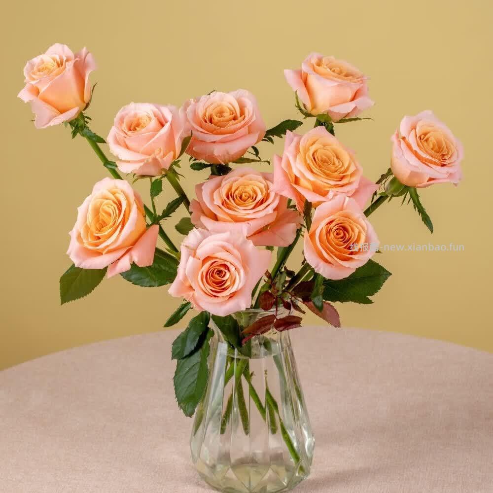 京东鲜花随机色玫瑰花买10枝送10枝到手共20支 19.9元 - 线报酷