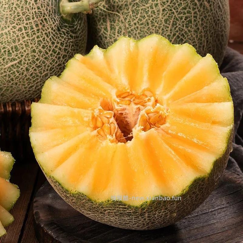 佳农海南西州蜜瓜两颗装 25.56元 - 线报酷