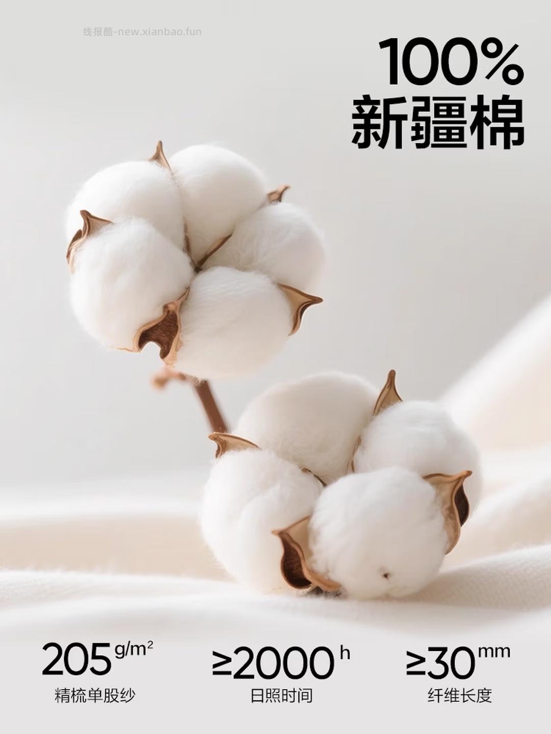 网易严选抗菌纯棉短袖T恤拍3件 79元 - 线报酷