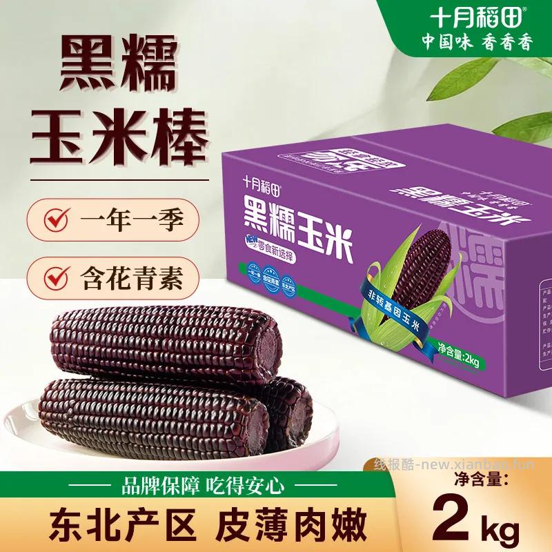 十月稻田黑糯玉米棒2kg 19.74元 - 线报酷