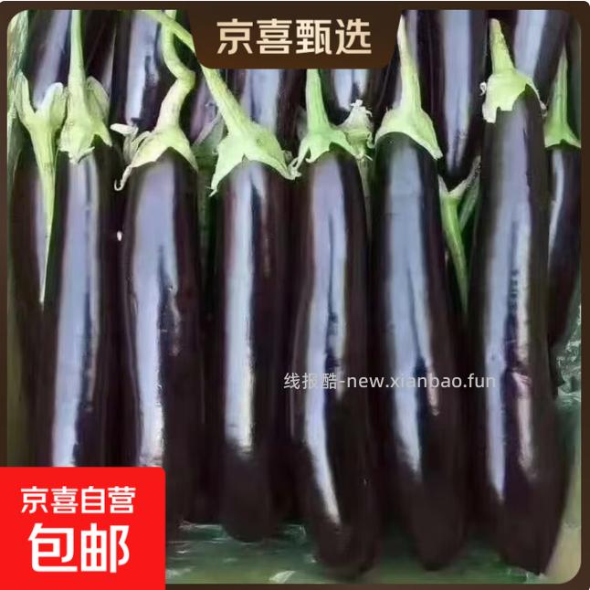 绿把紫皮长茄净重5斤 7.80元 - 线报酷