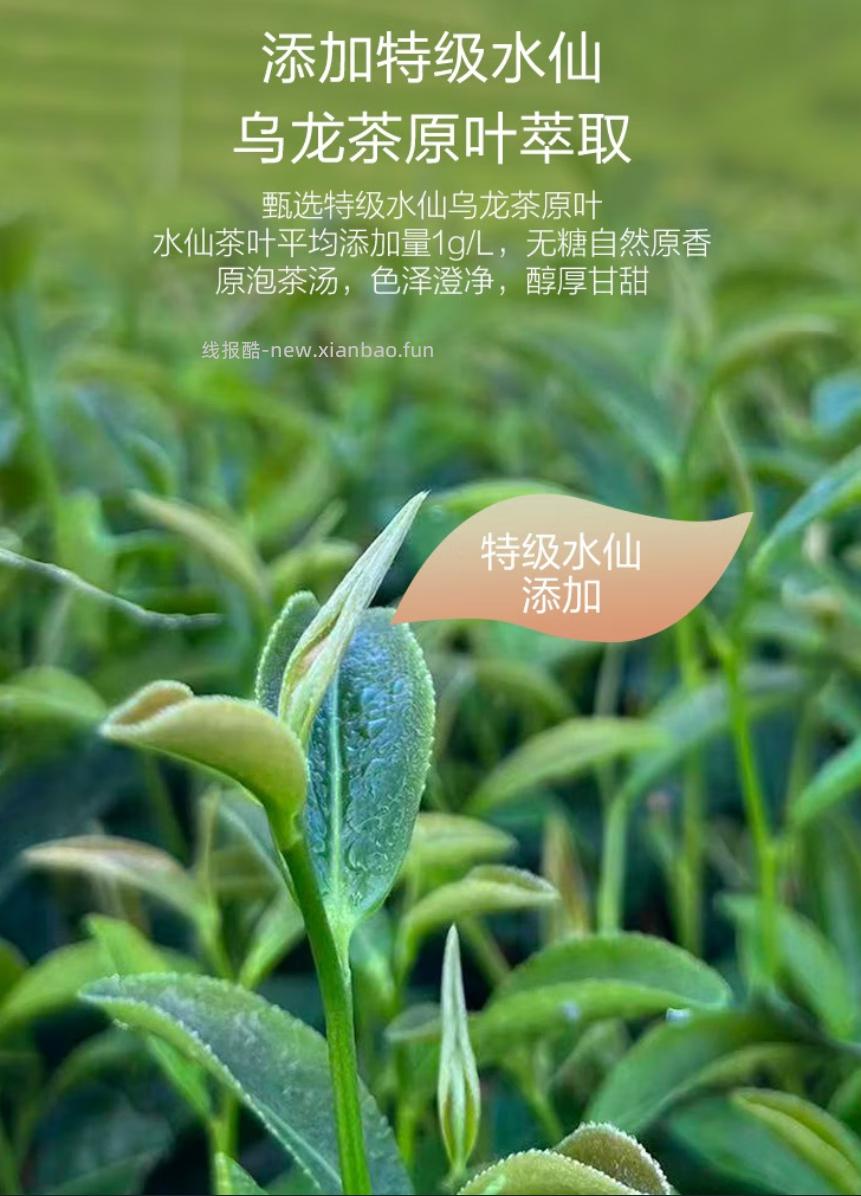 1号会员店无糖乌龙茶饮料500ml*12瓶 15.9元 - 线报酷