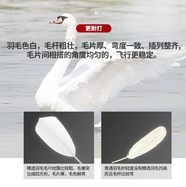 迪科斯耐打白色鸭羽毛球3只装 4.35元 - 线报酷