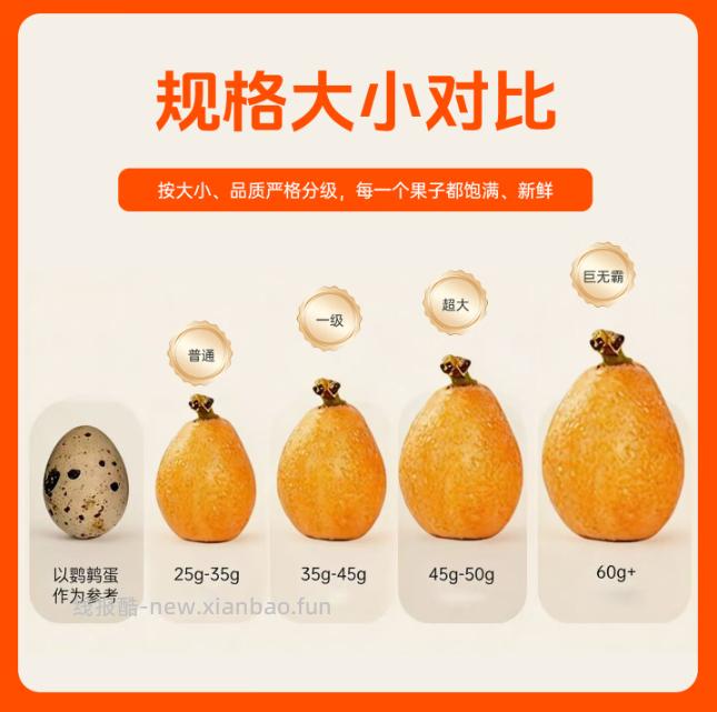 16.90 京鲜生.贵州枇杷30粒 单果25g+ 折0.56元/粒 - 线报酷