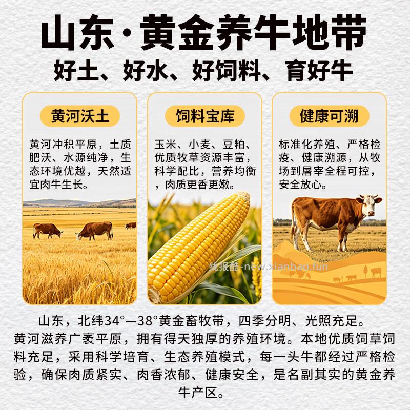 牛鲜尊&大伊山东黄牛牛肉卷净重2斤 拍3件 共到手6斤 返卡后134.90元 - 线报酷