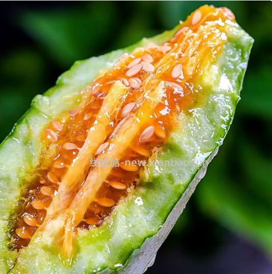京鲜生山东头茬羊角蜜甜瓜净重3斤 16.90元 - 线报酷